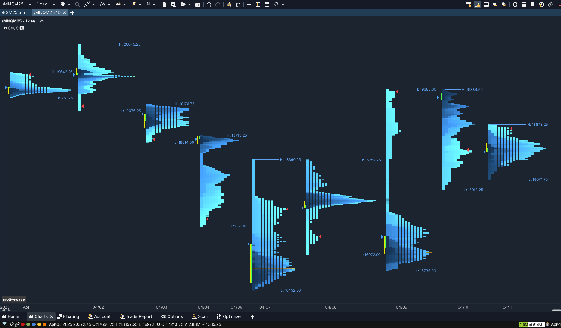 Market Profile - TPO